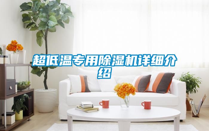 超低溫專用除濕機詳細(xì)介紹