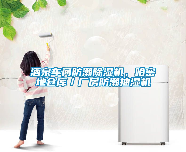酒泉車間防潮除濕機(jī)，哈密地倉(cāng)庫(kù)／廠房防潮抽濕機(jī)
