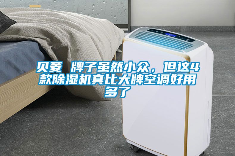 貝菱 牌子雖然小眾，但這4款除濕機真比大牌空調好用多了