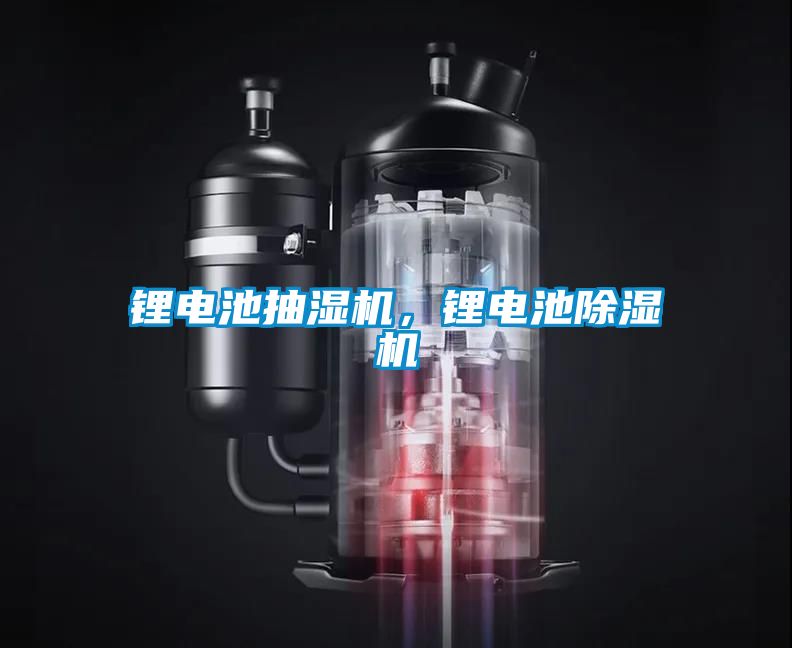 鋰電池抽濕機，鋰電池除濕機