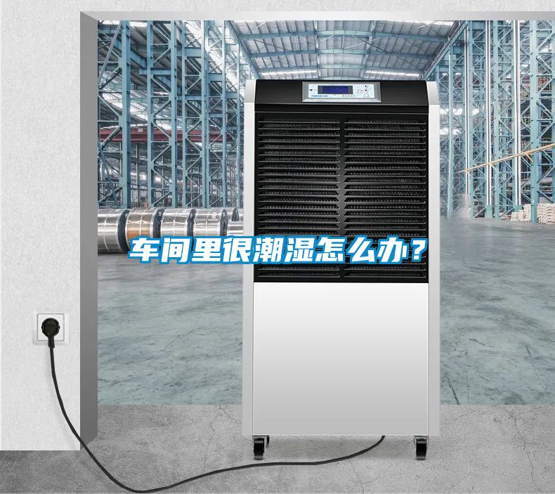 車間里很潮濕怎么辦？