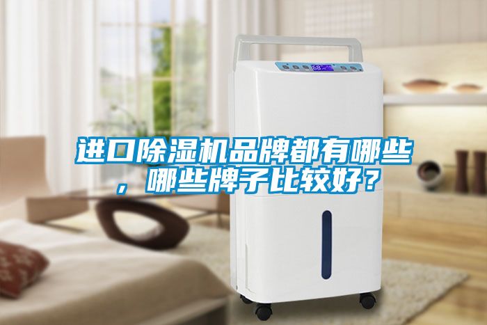 進(jìn)口除濕機(jī)品牌都有哪些，哪些牌子比較好？