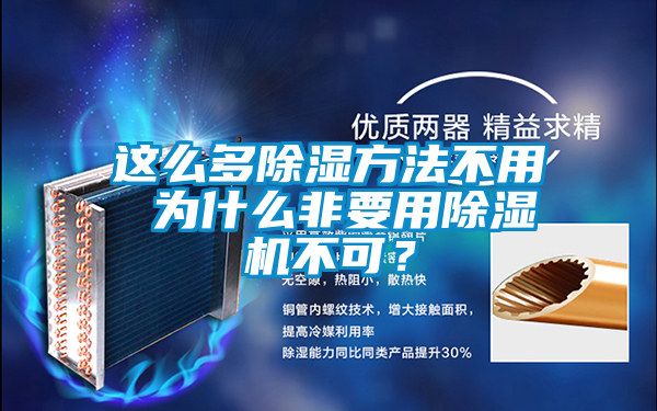 這么多除濕方法不用 為什么非要用除濕機(jī)不可？