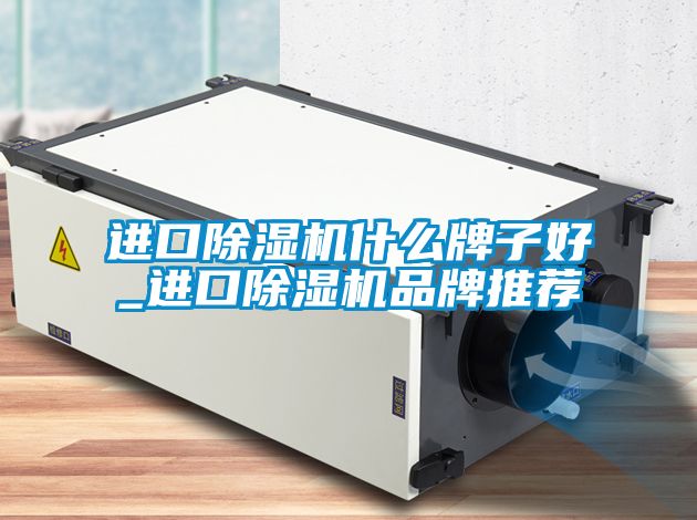 進(jìn)口除濕機(jī)什么牌子好_進(jìn)口除濕機(jī)品牌推薦