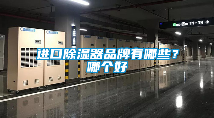 進(jìn)口除濕器品牌有哪些？哪個(gè)好