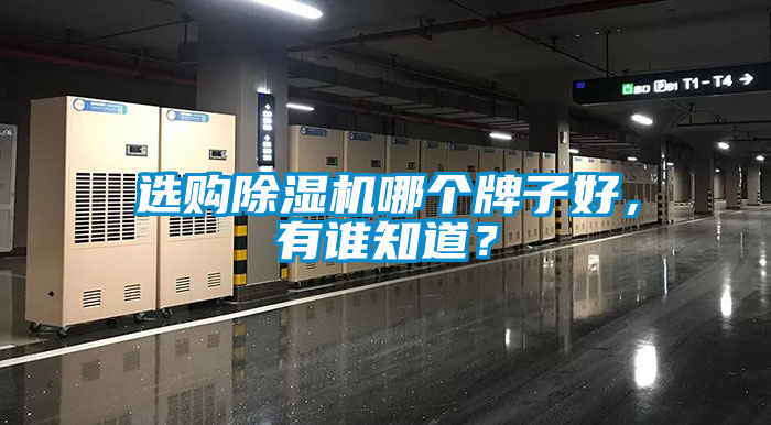 選購(gòu)除濕機(jī)哪個(gè)牌子好，有誰(shuí)知道？