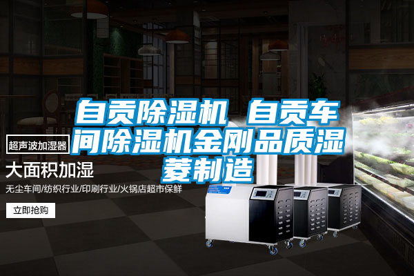 自貢除濕機 自貢車間除濕機金剛品質(zhì)濕菱制造