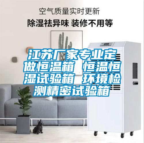 江蘇廠家專業(yè)定做恒溫箱 恒溫恒濕試驗箱 環(huán)境檢測精密試驗箱
