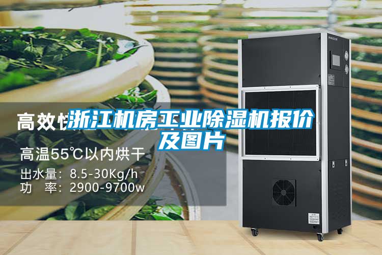 浙江機房工業(yè)除濕機報價及圖片