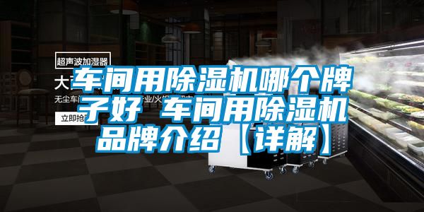 車間用除濕機(jī)哪個(gè)牌子好 車間用除濕機(jī)品牌介紹【詳解】