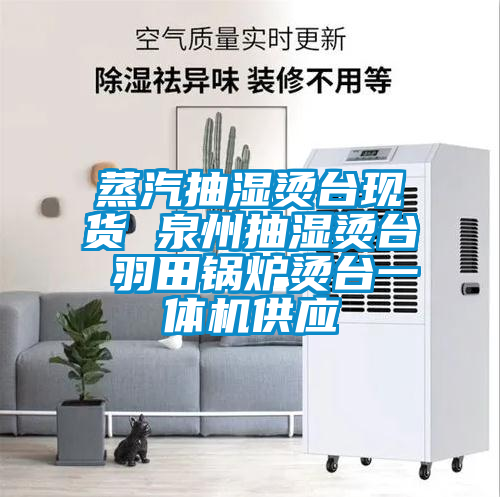 蒸汽抽濕燙臺現(xiàn)貨 泉州抽濕燙臺 羽田鍋爐燙臺一體機供應