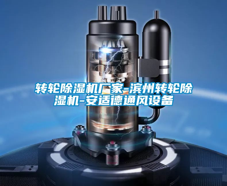 轉(zhuǎn)輪除濕機(jī)廠(chǎng)家-濱州轉(zhuǎn)輪除濕機(jī)-安適德通風(fēng)設(shè)備