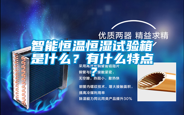 智能恒溫恒濕試驗(yàn)箱是什么？有什么特點(diǎn)？