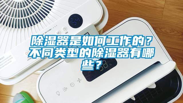 除濕器是如何工作的？不同類型的除濕器有哪些？