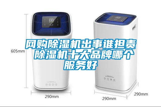 網(wǎng)購除濕機出事誰擔責 除濕機十大品牌哪個服務好