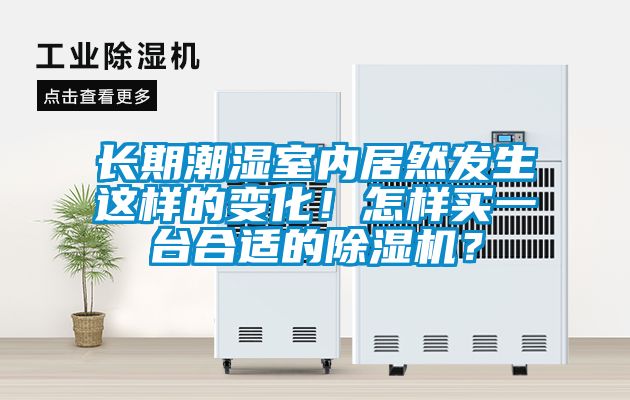 長期潮濕室內(nèi)居然發(fā)生這樣的變化！怎樣買一臺合適的除濕機(jī)？
