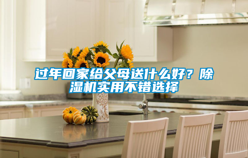 過年回家給父母送什么好？除濕機(jī)實(shí)用不錯(cuò)選擇