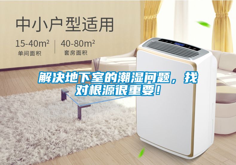 解決地下室的潮濕問題，找對根源很重要！