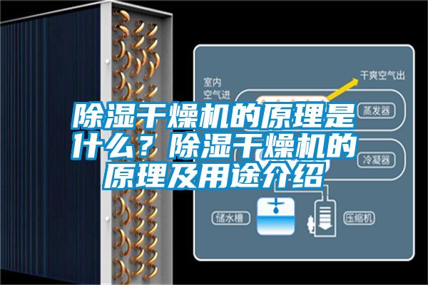 除濕干燥機(jī)的原理是什么？除濕干燥機(jī)的原理及用途介紹
