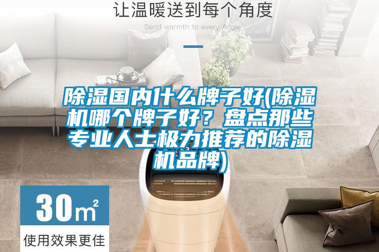 除濕國內(nèi)什么牌子好(除濕機哪個牌子好？盤點那些專業(yè)人士極力推薦的除濕機品牌)