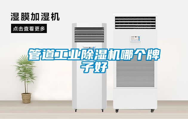 管道工業(yè)除濕機哪個牌子好
