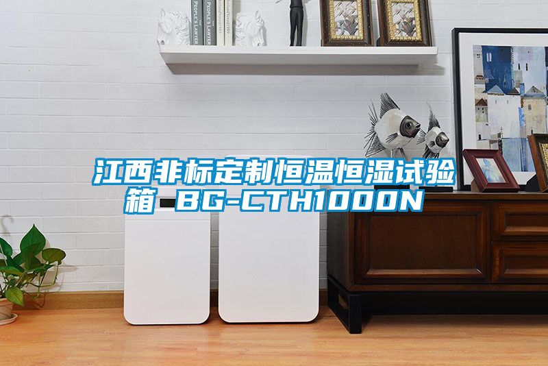江西非標(biāo)定制恒溫恒濕試驗箱 BG-CTH1000N