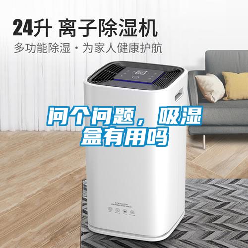 問個問題，吸濕盒有用嗎