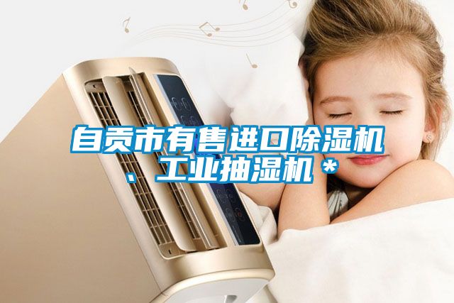 自貢市有售進(jìn)口除濕機(jī)、工業(yè)抽濕機(jī)＊