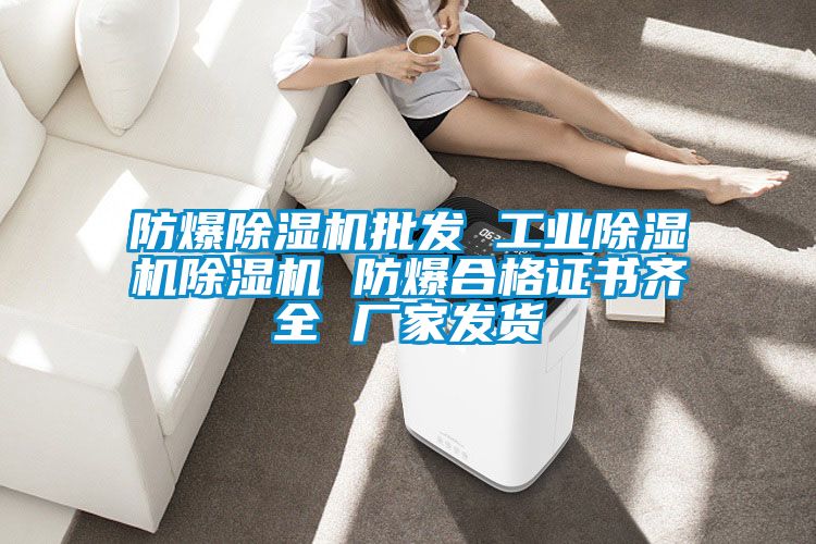 防爆除濕機批發(fā) 工業(yè)除濕機除濕機 防爆合格證書齊全 廠家發(fā)貨