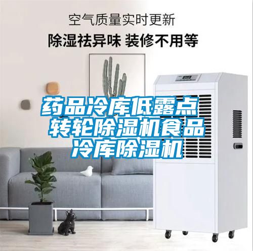 藥品冷庫低露點 轉(zhuǎn)輪除濕機食品冷庫除濕機