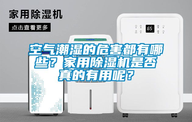 空氣潮濕的危害都有哪些？家用除濕機(jī)是否真的有用呢？