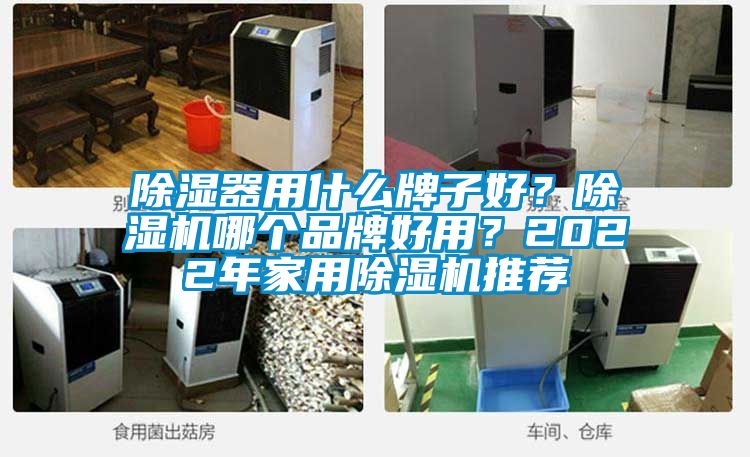 除濕器用什么牌子好？除濕機哪個品牌好用？2022年家用除濕機推薦