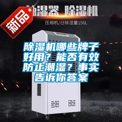 除濕機(jī)哪些牌子好用？能否有效防止潮濕？事實(shí)告訴你答案