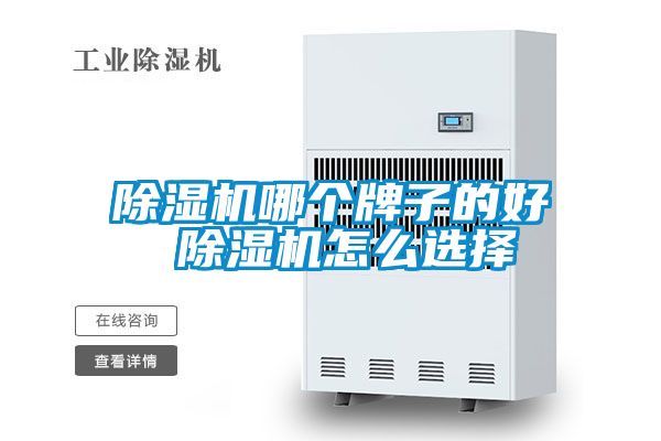 除濕機(jī)哪個(gè)牌子的好 除濕機(jī)怎么選擇