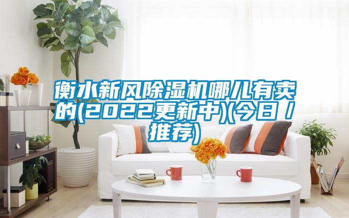 衡水新風(fēng)除濕機(jī)哪兒有賣(mài)的(2022更新中)(今日／推薦)
