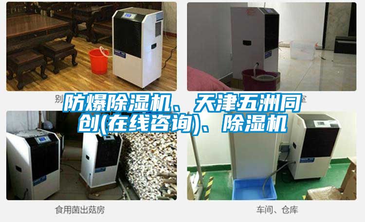 防爆除濕機(jī)、天津五洲同創(chuàng)(在線咨詢)、除濕機(jī)