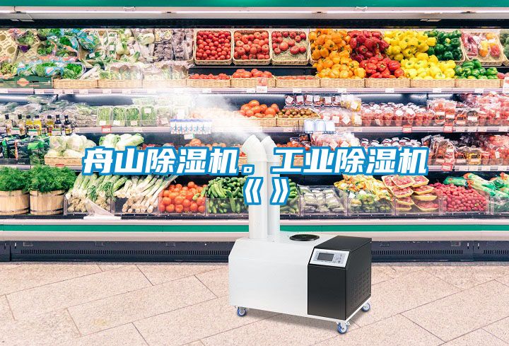 舟山除濕機(jī)。工業(yè)除濕機(jī)《》