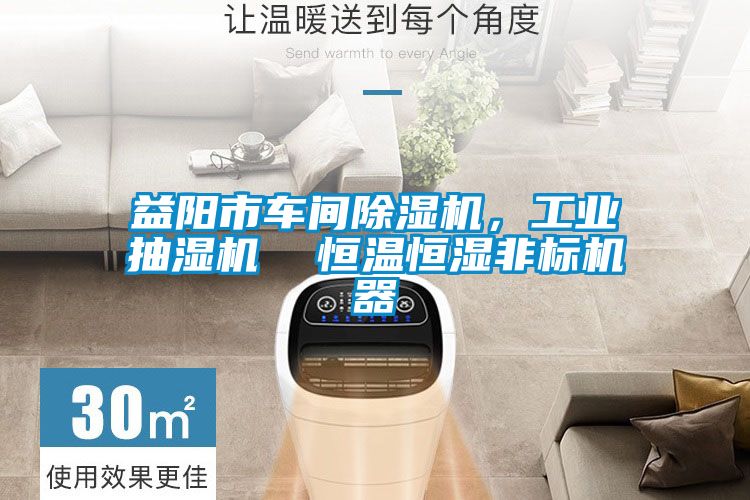 益陽市車間除濕機，工業(yè)抽濕機  恒溫恒濕非標(biāo)機器