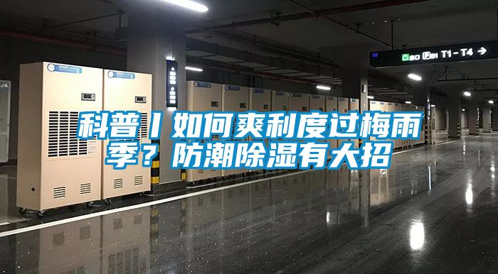 科普丨如何爽利度過梅雨季？防潮除濕有大招