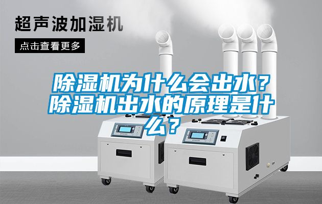 除濕機為什么會出水？除濕機出水的原理是什么？