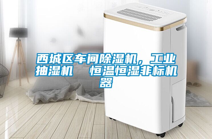 西城區(qū)車(chē)間除濕機(jī)，工業(yè)抽濕機(jī)  恒溫恒濕非標(biāo)機(jī)器