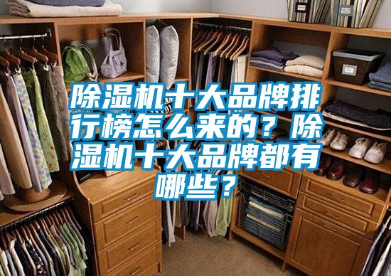 除濕機(jī)十大品牌排行榜怎么來的？除濕機(jī)十大品牌都有哪些？