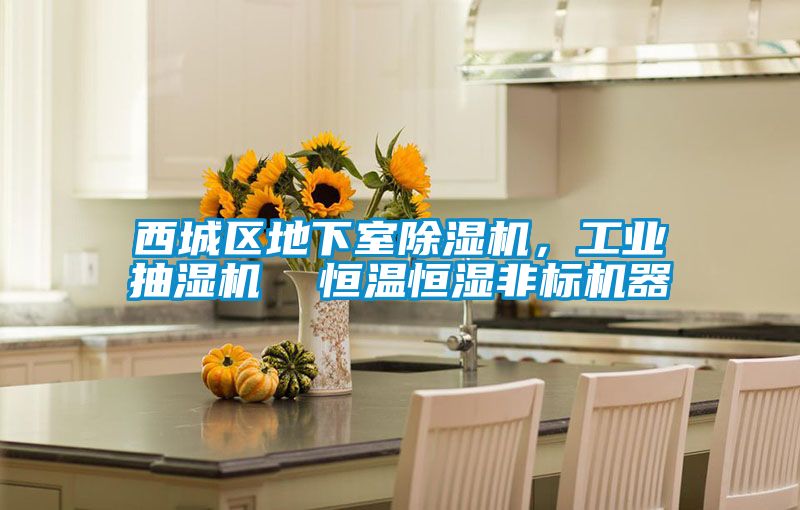 西城區(qū)地下室除濕機(jī)，工業(yè)抽濕機(jī)  恒溫恒濕非標(biāo)機(jī)器