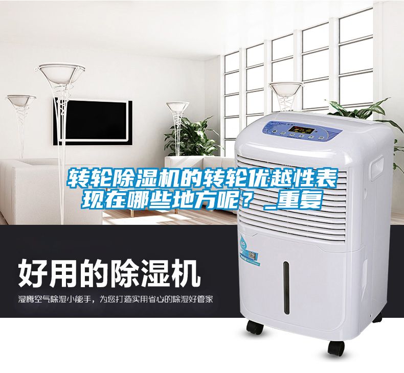 轉(zhuǎn)輪除濕機(jī)的轉(zhuǎn)輪優(yōu)越性表現(xiàn)在哪些地方呢？_重復(fù)