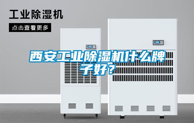 西安工業(yè)除濕機(jī)什么牌子好？