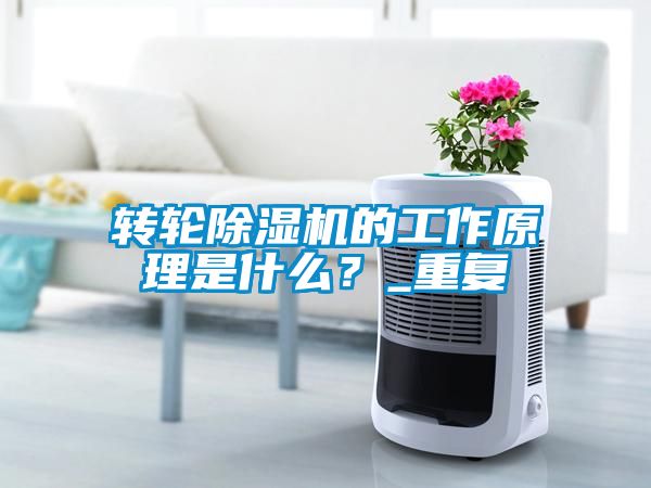 轉輪除濕機的工作原理是什么？_重復