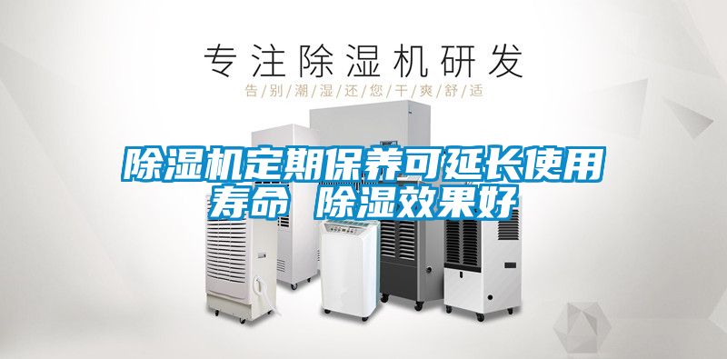 除濕機(jī)定期保養(yǎng)可延長使用壽命 除濕效果好