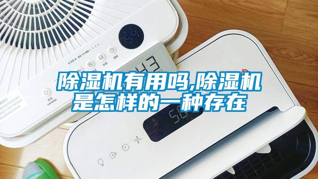 除濕機(jī)有用嗎,除濕機(jī)是怎樣的一種存在