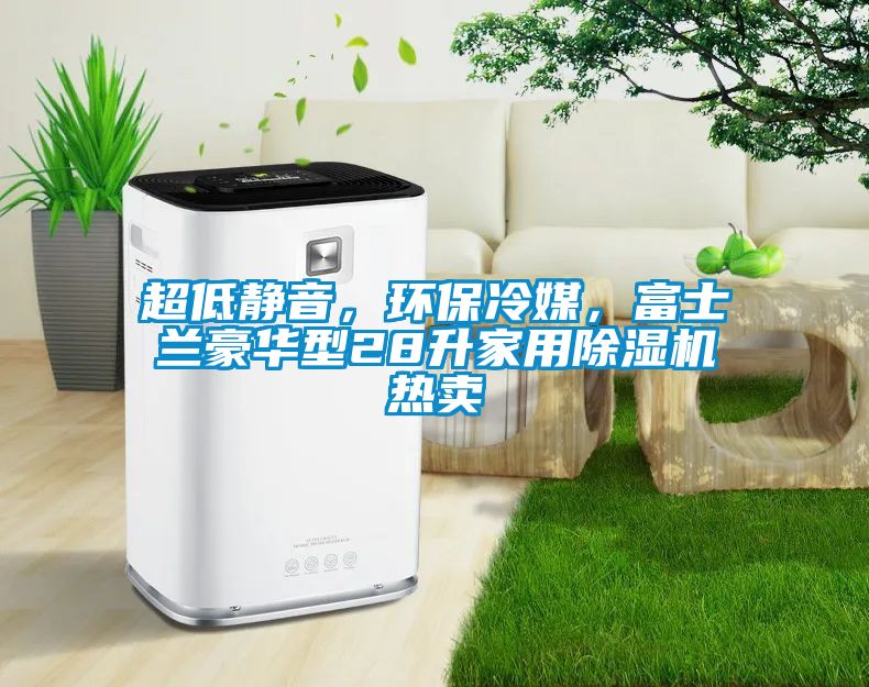 超低靜音，環(huán)保冷媒，富士蘭豪華型28升家用除濕機熱賣