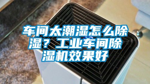 車間太潮濕怎么除濕？工業(yè)車間除濕機效果好